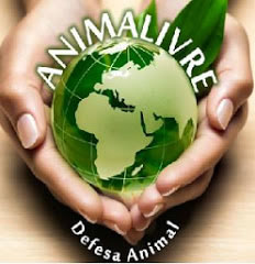 Blog Animal Livre